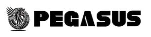 Pegasus